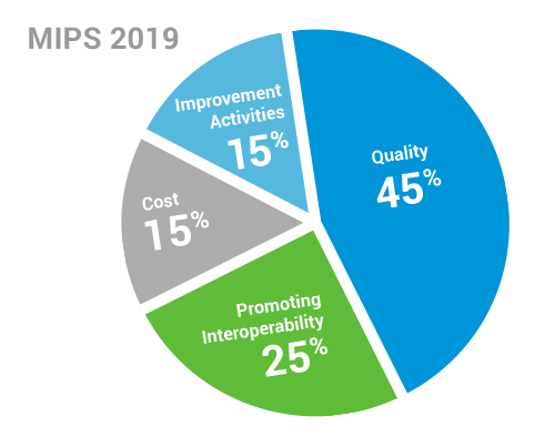 MIPS-Pie-Chart2019-whole500 MIPS-Pie-Chart2019-whole500